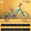 Детский горный велосипед 20 дюймов MTB Shimano 6 скоростей Verdant Rowan