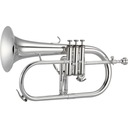 Флюгельгорн в настройке Bb Jupiter JFH1100RS