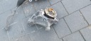 NISSAN QASHQAI III J12 ROTULE DE DIRECTION MOYEU DROIT AVANT 6UA0Hphoto 5