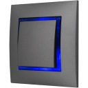 ОДИН СЕРЫЙ ПЕРЕКЛЮЧАТЕЛЬ С ПОДСВЕТКОЙ