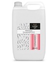 ШАМПУНЬ CHANTAL COLOR ART CERAMIDES BASIC CARE 5л