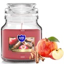 АРОМАТИЧЕСКАЯ СВЕЧА РОЖДЕСТВЕНСКАЯ СВЕЧА ЯБЛОКО КОРИЦА ПОДАРОЧНАЯ БАНКА 28Ч