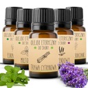 НАБОР ЭФИРНЫХ МАСЕЛ ДЛЯ САУНЫ 100% АРОМАТЕРАПИЯ