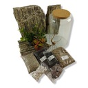 ЛЕС В БАНКЕ - своими руками Цилиндр 3 своими руками