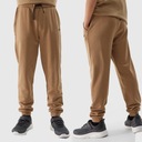 4F СПОРТИВНЫЕ БРЮКИ ДЛЯ МАЛЬЧИКОВ, ДЖОГГЕРЫ, ДЕТСКИЕ СПОРТИВНЫЕ БРЮКИ ВЛ. ВЛ. 24