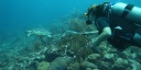 ПЛАВАЮЩИЙ ШЕСТ ДЛЯ КАМЕРЫ AQAPOD ВОДОНЕПРОНИЦАЕМАЯ СУМКА