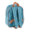 Рюкзак для детского сада Paso Disney Frozen для девочек