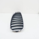 BMW Z4 ROADSTER E89 AVANT RIGHT RADIATOR KIDNEY GRILLE 51137191510 OEMphoto 10