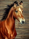 Картина по номерам Картина ЛОШАДЬ В РАМКЕ 40х50