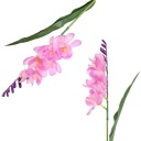 ЦВЕТ ИСКУССТВЕННЫЙ ЦВЕТОК Ветка ФРЕЗИЯ ФИОЛЕТОВЫЙ ДЛИННЫЙ Тростник 1 ШТ. 41 СМ