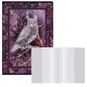 БЛОКНОТ TOP 2000 А5 60 СТРАНИЦ GRID SOFT TOUCH OWL + КРЫШКА для блокнота