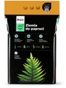Грунт для папоротника 5 литров Wokas Smart