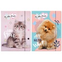 2 ФАЙЛА С ЛАСТИКОМ А4 МОЙ ДРУГ КОШКА И СОБАКА