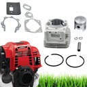 РЕМКОМПЛЕКТ ЦИЛИНДРА БЕНЗИНОВОГО ТРИММЕРА 44ММ