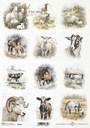 Рисовая бумага для декупажа А4 R2348 овцы, лошади, козы