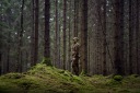 Жилети Harkila M
