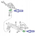 Заглушки клапана EGR 1.9TD 1.9TDi VW Audi Seat Skod комплект*