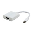 АДАПТЕР USB C 3.1 — HDMI F 4K2K@30 Гц