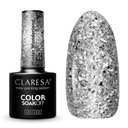 Claresa гибрид ГЛИТТЕР серебро Winter Wonderland 10