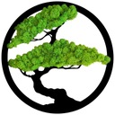 Живая картина ДЕРЕВО ЖИЗНИ БОНСАЙ мох ХРОБОТЕК 50см