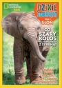 NATIONAL GEOGRAPHIC KIDS - ДИКИЕ ЖИВОТНЫЕ - СЛОН