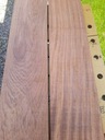 TARCICA JATOBA Z BRAZYLI MAHOŃ KL,2