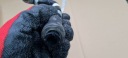 A4 B9 8W LIFT FIL TUYAU CARBURANTS 2.0 TFSI 06L133986AA A5 8Wphoto 9