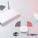 Умный шлюз управления Tesla ZigBee TUYA