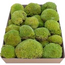 Подушка Премиум Мох Светло-Зеленый Картон 0,12 м2