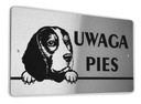 Tabliczka INOX - UWAGA PIES - Beagle