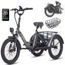 Fafrees F20 mate 48V 500W 18.2Ah 25KM/H 110KM електричний триколісний велосипед 2025 pl