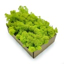 50 г НОРВЕЖСКОГО весеннего оленьего мха