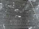 BMW 5 F10 550D BMW 7 F01 750D RADIATEUR EAUphoto 7