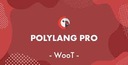 Плагин Polylang Pro для WordPress WooCommerce