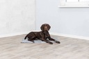 Trixie Chladiaca podložka pre psa XL 90x60cm sivá Tvar pravouhlý