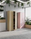 Металлический офисный шкаф в пастельных тонах JAN NOWAK JAN 185 Fresh Style: пудрово-розовый.