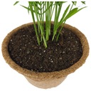 Субстрат для комнатных растений GREEN PALM PLANTS BIGOS 5L