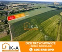 Działka, Dzietrzychowice, 1400 m² Droga dojazdowa asfaltowa lub betonowa