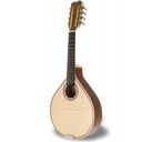 Mandolína typu A -Carvalho CARV305MDL
