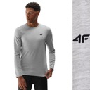 Мужская толстовка 4f Longsleeve Blouse ежедневно