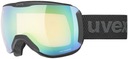 Лыжные очки Uvex DOWNHILL 2100 V 2130