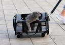 Transportér remorkér pre psa mačku na kolieskach I116 Výška produktu 33 cm