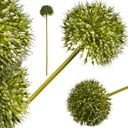 SZTUCZNE KWIATY CZOSNEK PIK GAŁĄZKA 48CM WYPEŁNIACZ DODATEK FLORYSTYCZNY