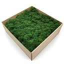 500 г чистого очищенного оленьего мха