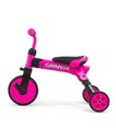 Rowerek trójkołowy biegowy dla dzieci 2w1 Grande Milly Mally różowy Waga 3.5 kg
