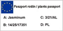 Jazmín voňavý VIRGINAL č. 1216 Druh rastliny Iný
