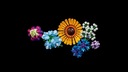LEGO ICONS CREATOR Kytica z poľných kvetov 10313 Názov súpravy Bukiet z polnych kwiatów 10313