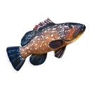 Подушка-талисман Габи, GREAT GROUPER, 95см