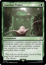 MTG Guardian Project (R)