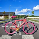 Велосипед Baluma Raspberry Joy, рама 53 см, колесо 28